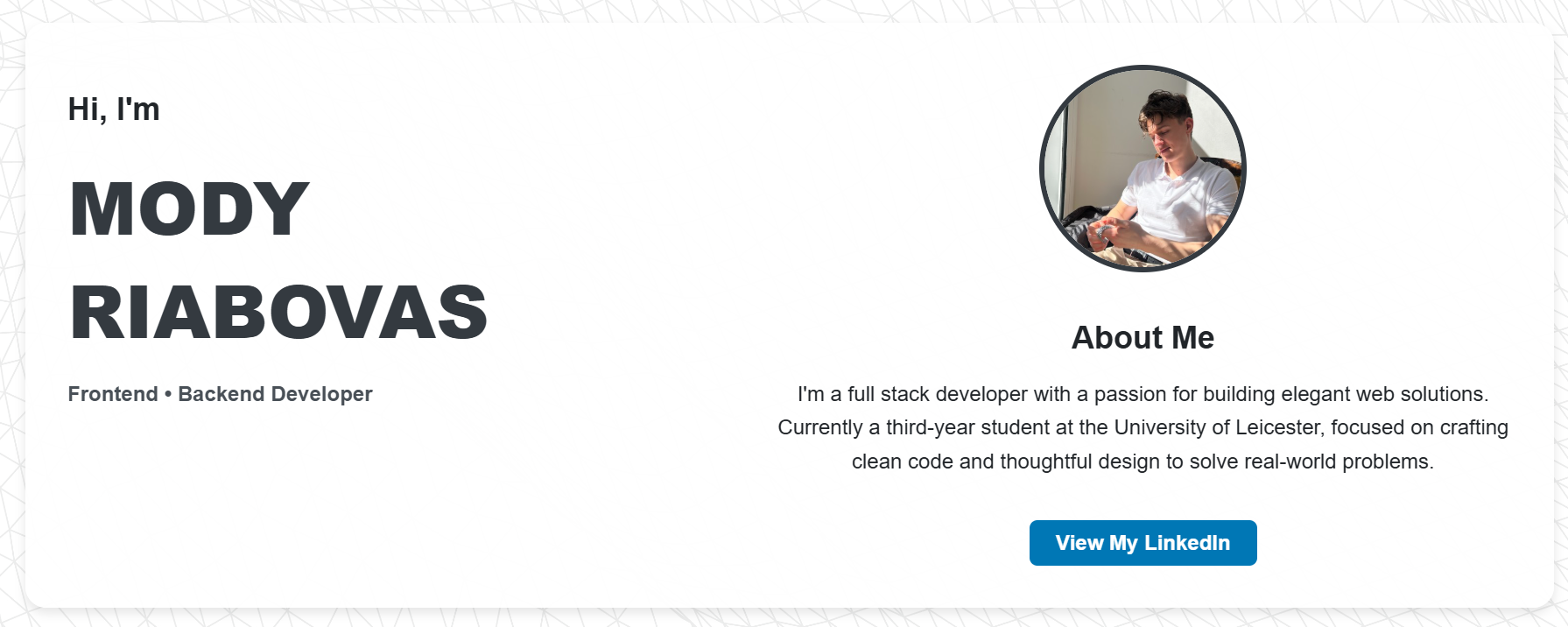 Modestas Riabovas Portfolio Website Image